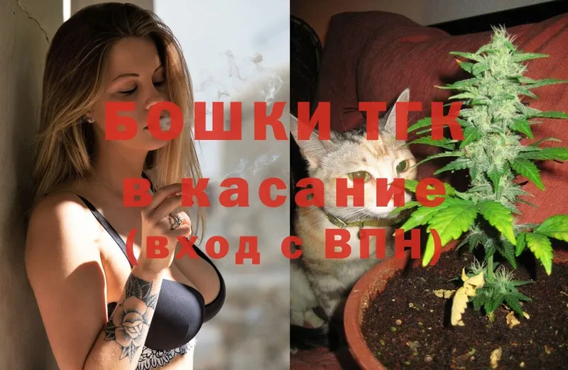 Бошки Шишки White Widow  hydra онион  Мураши 